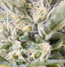 Desmenuzando la nueva Crystal Candy Auto ®