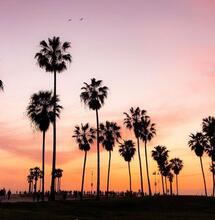 California cannabis retailers struggle with debt