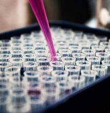 CBD May Help Overcome Drug Resistance in Leukaemia Treatment