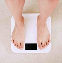 CBD and THCV Could they assist with Weight Loss?