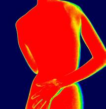 Potential Anti-Inflammatory Effects of CBDV and CBG