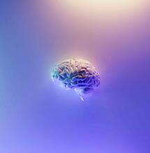 Does the Brain Recover After Quitting Cannabis?
