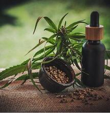 Can Cannabis Counter Aging in 2019?