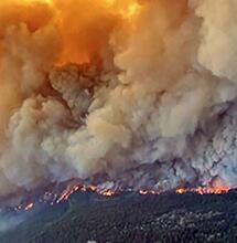 Les fermes de cannabis impactées par les incendies au Canada