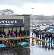 Green Pass per comprare Cannabis: boom di vaccini