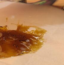Expoweed Chile: Que no pare el testing