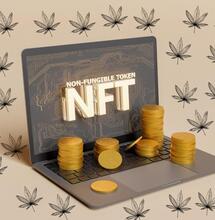  Cannabis / Crypto (NFT) 