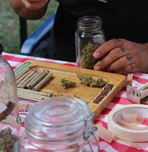 A team of researchers from various Japanese medical and academic institutions analysed data from a nationwide survey on psychoactive substance use