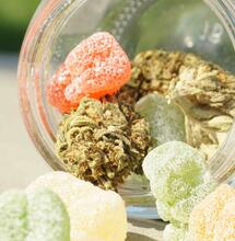 Cannabis Edibles: Mental Health Risks and THC Potency