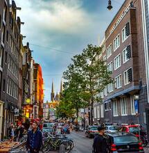 Netherlands Cannabis Trial Begins