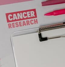 Cannabis Extract Kills Cancer Cells, Says New Study