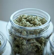 Viele Patienten von Änderungen der GKV-Erstattung bei Cannabis betroffen