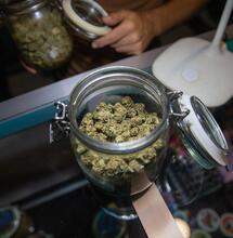 Cannabis legale stop al mercato nero: i dati dal Canada