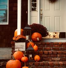 Cannabis Strains For Autumn