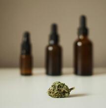 Wie macht man eine Cannabis-Tinktur?