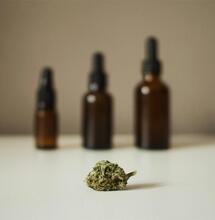 Cannabis kann bei problematischem Drogenkonsum helfen