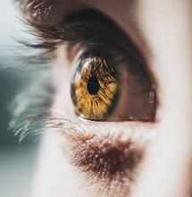 Cannabis and Glaucoma