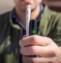 Cannabis day: un webinar gratuito per celebrare il 420