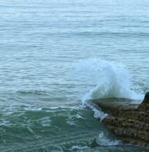 Die Behandlung von PTBS mit Cannabis