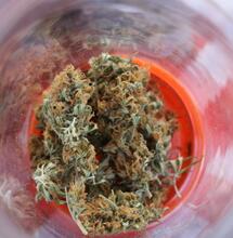 Più sicurezza e lavoro, la Svizzera vuole la Cannabis