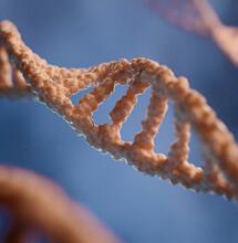 Cannabis use and epigenetics