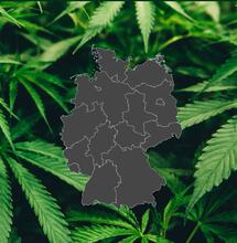 Cannabis-Bußgeldkataloge: Bayern als Vorbild?