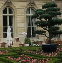 Du cannabis à l’Élysée