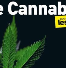 Le Cannabis pour les nuls : un livre de Nicolas Authier et Véronique Julia