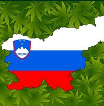 Cannabis-Referendum in Slowenien