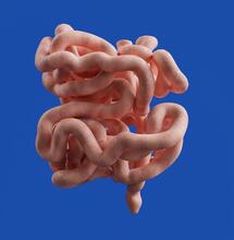 Cannabis medicinal y cáncer colorrectal