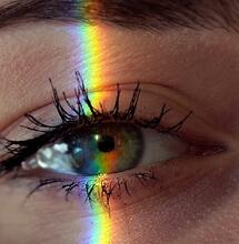 Cannabis y el trastorno autista