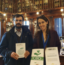 Izquierda Unida en Sumar aboga por la regulación