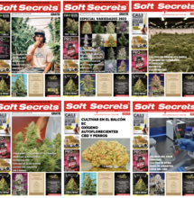 Mejores artículos del periódico Soft Secrets 2023