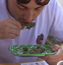 Vuelve la Cata Copa de Cultivadores Cannábicxs (C4), 2023 en Argentina.