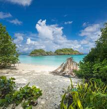  This pivotal vote holds the potential to transform Caye Caulker into a prominent cannabis destination within the Caribbean, attracting tourists & new business