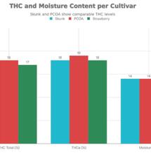  Un système racinaire robuste est essentiel pour la culture sans phase végétative
