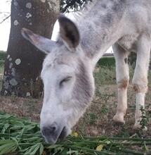 Les fleurs de chanvre CBD désormais interdites en France