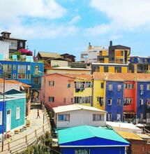 Chile prüft Legalisierung von Cannabis für Erwachsene 