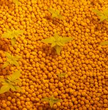 Quel substrat choisir pour la culture du cannabis ?