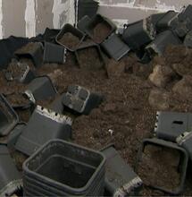 Télévision : des experts du ménage nettoient une plantation en indoor