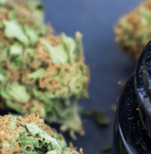 Storia di un fan del Rosin