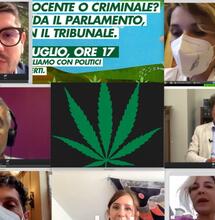 Il destino della legalizzazione italiana, lo sguardo sul futuro dell'associazione Luca Coscioni