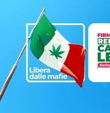 Firma online il referendum Cannabis Legale