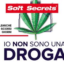 4.20 Hemp Fest 2019, viaggio nelle sterili polemiche politiche degli scorsi giorni