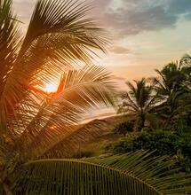 Costa Rica Completes First Export of Medical Cannabis to the EU