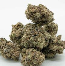 Jak vybrat odrůdu konopí podle jejich účinků?