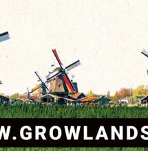 Growlands : la première foire cannabique aux Pays-Bas depuis 13 ans