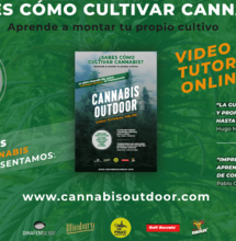 Aprende todo sobre el cultivo de marihuana exterior con Cannabis Outdoor