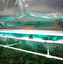 Colombia prepara su primera exportación de cannabis.