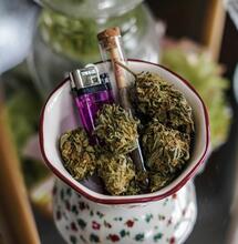 Curing aneb jak a proč nechat konopí uležet